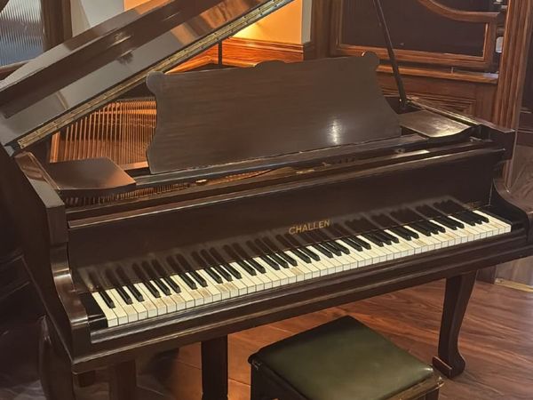 Baby Grand Piano - Main image