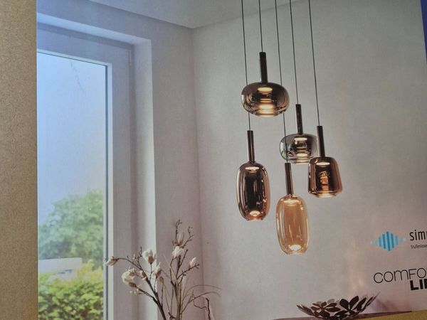 Paul Neuhaus 5-light LED pendant New + unused - Main image