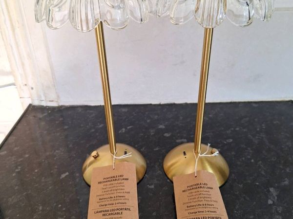 Two LED  portable rechargeable lamps - Main image