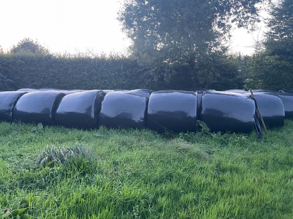 Silage Bales - Main image