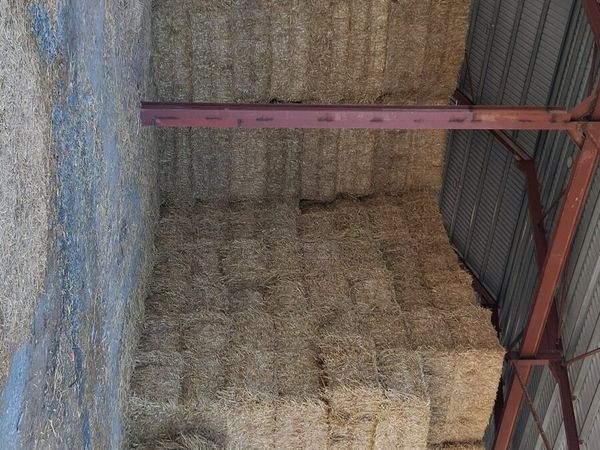 Wheaten straw for sale - Main image