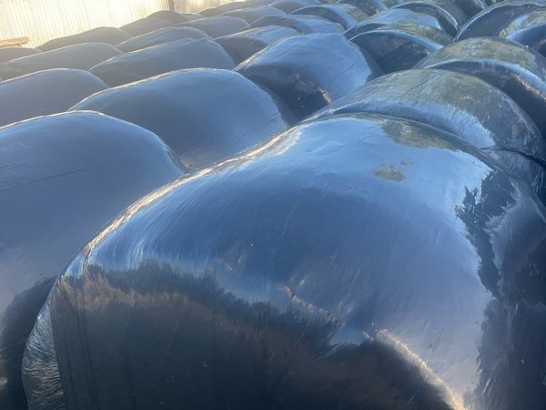 Silage Bales - Main image