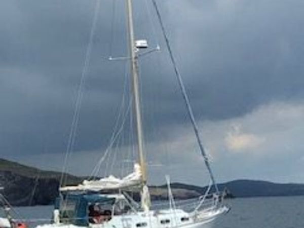 Barbary 33 for Sale - Main image