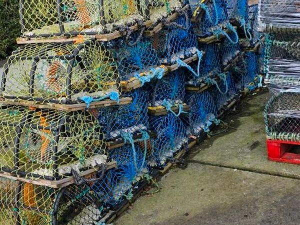 Lobsters pots - Main image