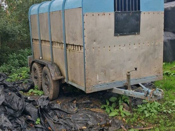 10x5 Cattle Trailer - Main image