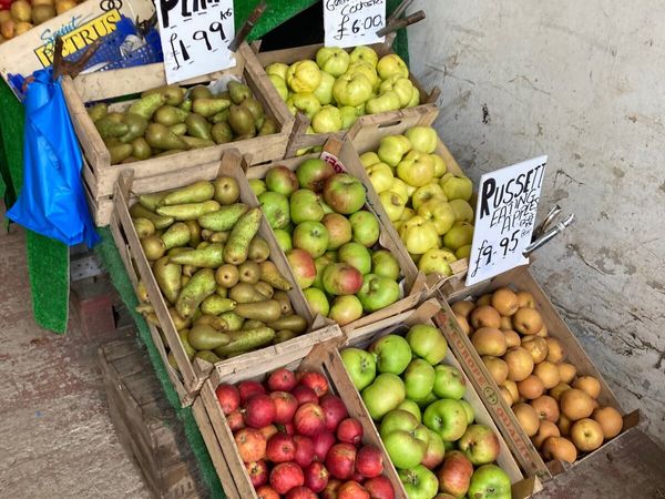 New Season Cooking &Eating Apples Conference Pears - Main image