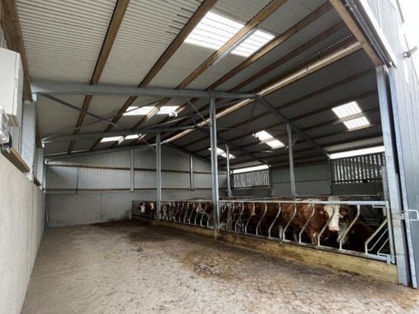 Slatted shed wanted - Main image