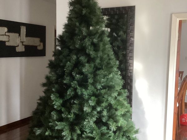 Christmas tree - Main image