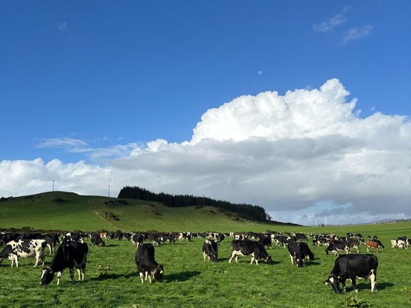 Farm worker wanted - Main image
