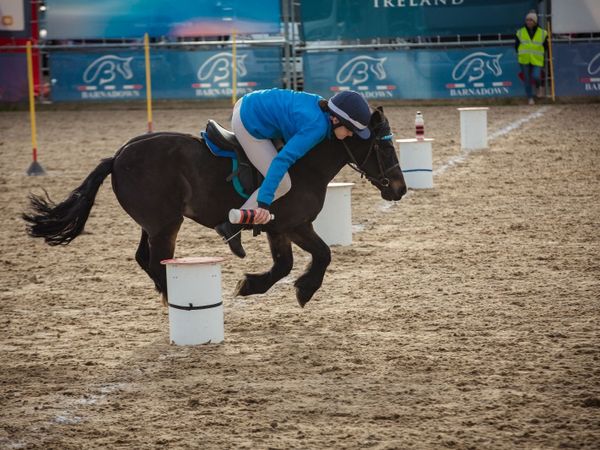 Mounted Games Pony - Main image