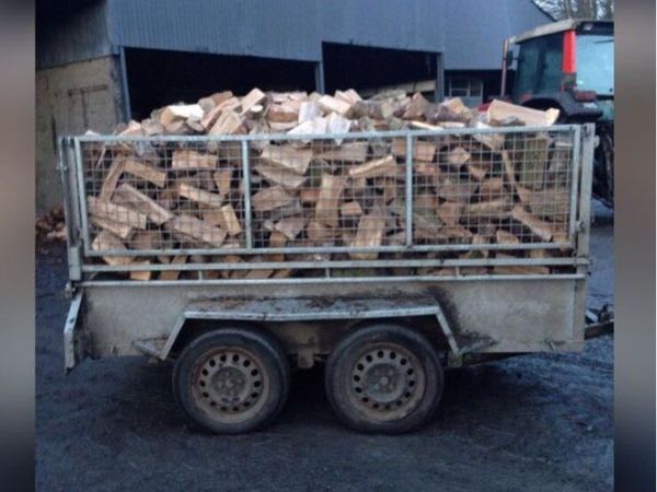Firewood - Main image