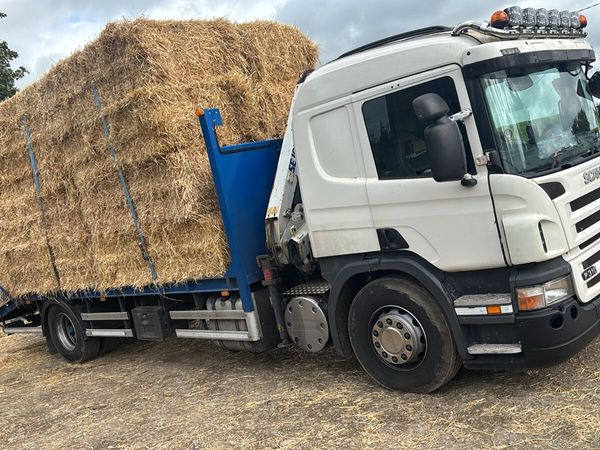 2009 Scania P320 manual crane plant truck - Main image