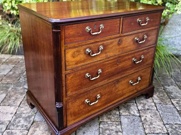 Compact Georgian Mahogany Chest- Circa 1830 - Main image