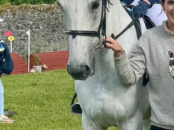 🌟 Super All-Rounder 14.2 🌟 - Main image