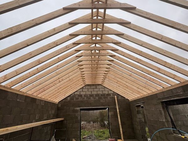 Roofing and renovations - Main image