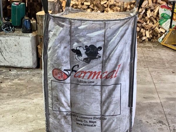 Sawdust - Main image