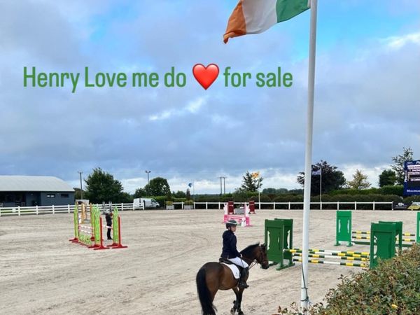 13.2 Show jumping pony - Main image