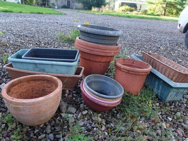 flower pots +containers - Main image