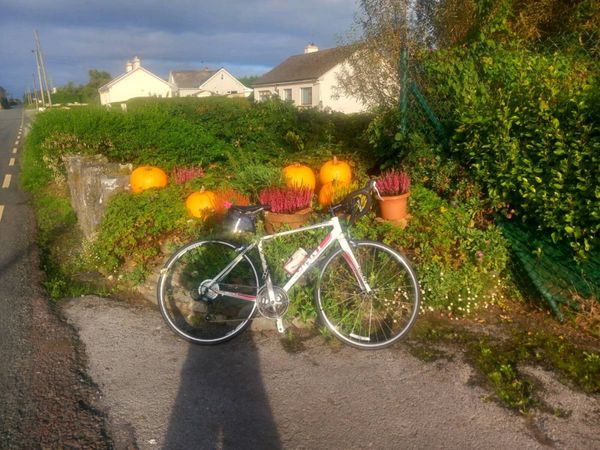 ROAD BIKE - Main image