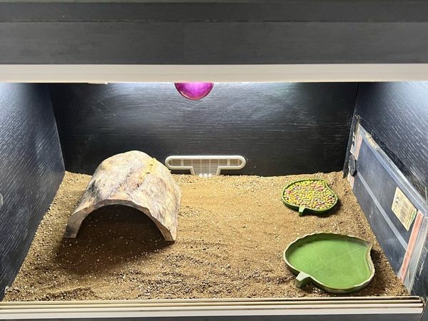 Vivarium - Main image