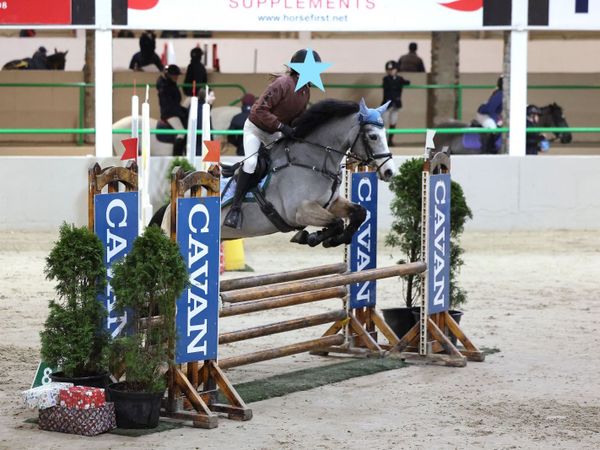 Class 1 Connemara 13.2 Competition Pony - Main image