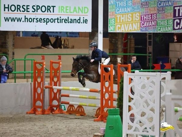 13.2 Show jumping pony - Main image