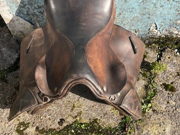 Saddle - Main image