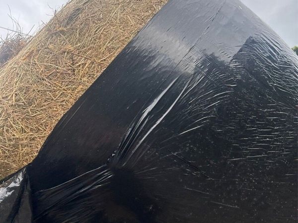 Round bales - Main image