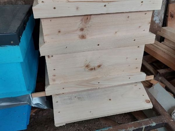 Bee hive - Main image