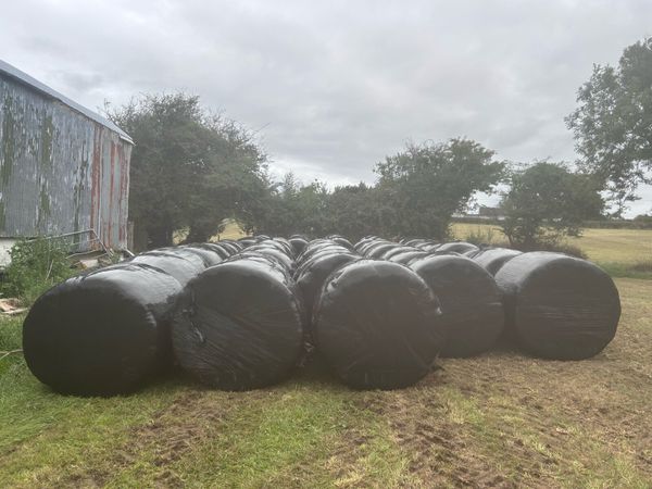 53 Bales of Silage Ennistymon - Main image