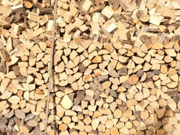 Timber - Main image