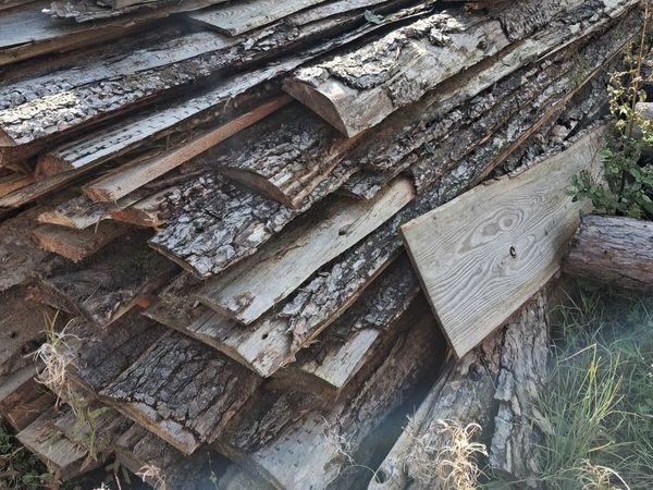 Firewood - Main image