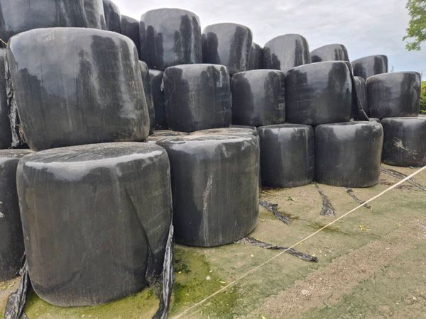 Baled silage - Main image