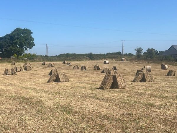 Small bales of Hay for sale - Main image