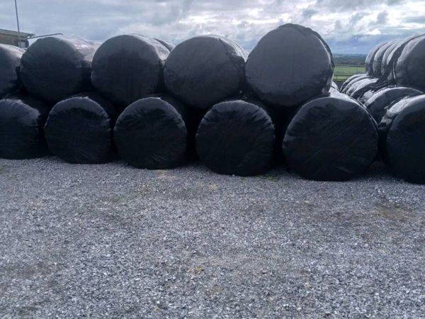 Silage - Main image