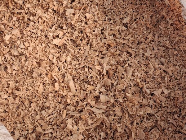 Wood Shavings - Main image