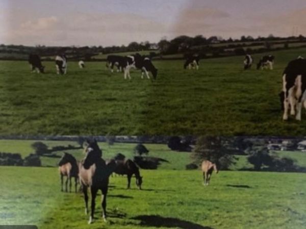 Farm Worker wanted 🐄 - Main image
