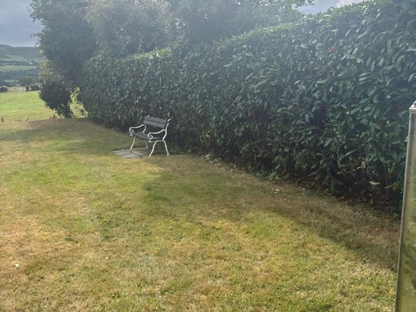 Hedge cutting services for sale in Wicklow for €1 on DoneDeal