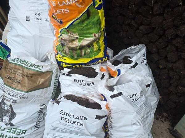 Bags of turf - Main image