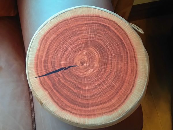 Round Flat Cushion. Looks Like Timber (New). - Main image
