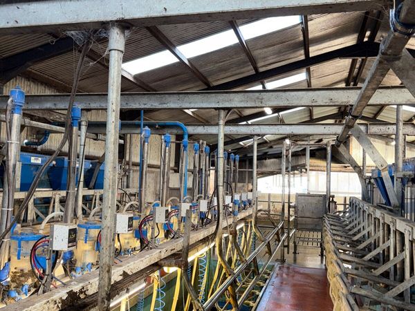 Dairymaster 14 unit parlour - Main image