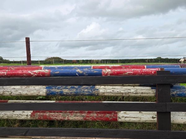 Jumping poles - Main image