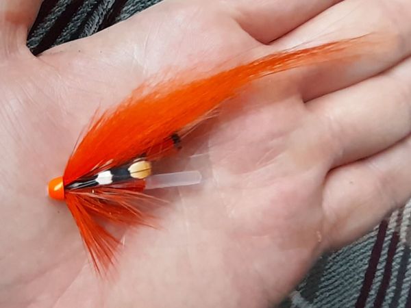 Salmon fly - Main image