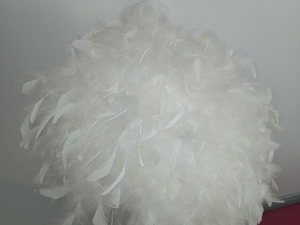 Light shade - Main image