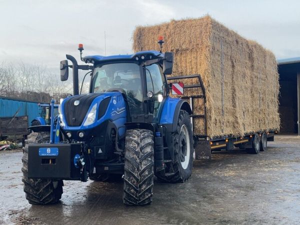 Top quality straw for sale - Main image