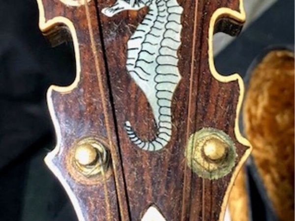 Paramount Parker Gibson Vega Majestic Epiphone - Main image