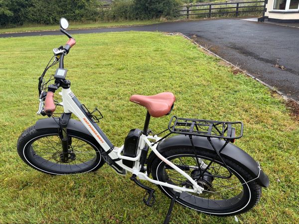 Rad power ebike rhino - Main image
