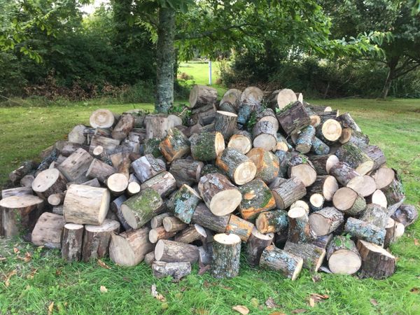 Hardwood firewood - Main image