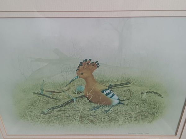 Wildlife print - Main image