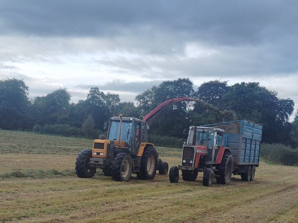 Massey Ferguson 2620 - Main image